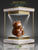 DELIGHTFUL Realistic BEARY BEAR Teddy Scented Candle: YOU CHOOSE SCENT