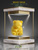 DELIGHTFUL Realistic BEARY BEAR Teddy Scented Candle: YOU CHOOSE SCENT