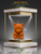 DELIGHTFUL Realistic BEARY BEAR Teddy Scented Candle: YOU CHOOSE SCENT