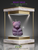 DELIGHTFUL Realistic BEARY BEAR Teddy Scented Candle: YOU CHOOSE SCENT
