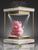 DELIGHTFUL Realistic BEARY BEAR Teddy Scented Candle: YOU CHOOSE SCENT